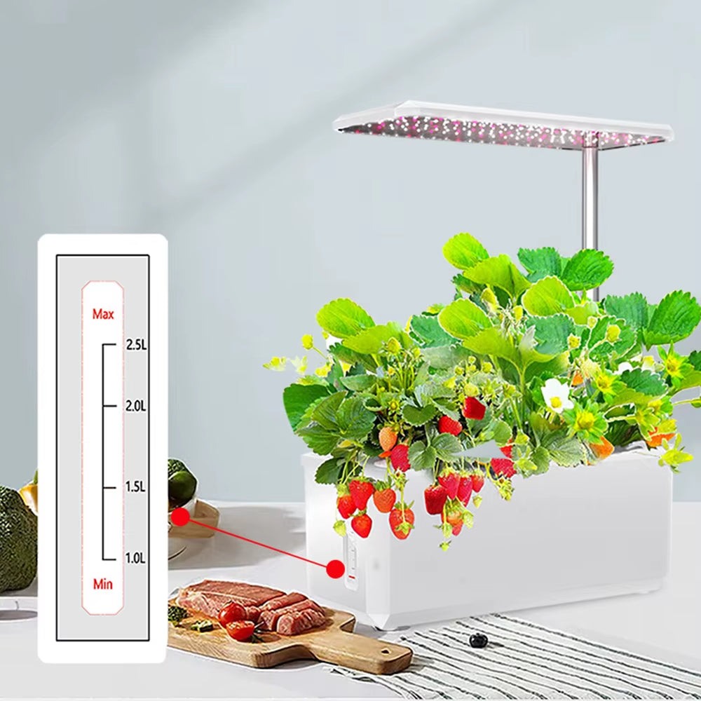 Hydroponics Growing System with Indoor Plant Full Spectrum Led Grow Light Non-Toxic Soilless Smart Planting Indoor Garden