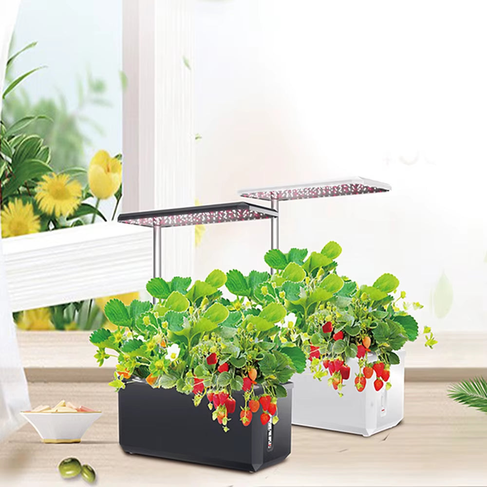 Hydroponics Growing System with Indoor Plant Full Spectrum Led Grow Light Non-Toxic Soilless Smart Planting Indoor Garden