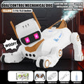 Intelligent Robot 2.4G RC Smart Programming Stunt Dog Watch Dual Control Interactive Toys With Cool Spray Toy for Boys Kids Gift