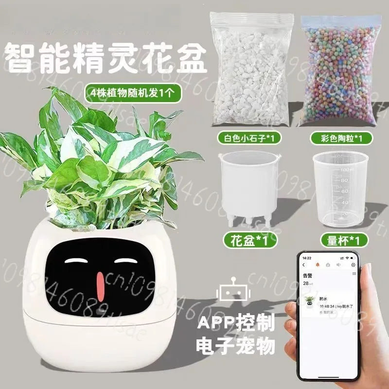 Smart Cute Pet-style Small Flower Pot with Green Plants, Emotionally Interactive Via Plant States