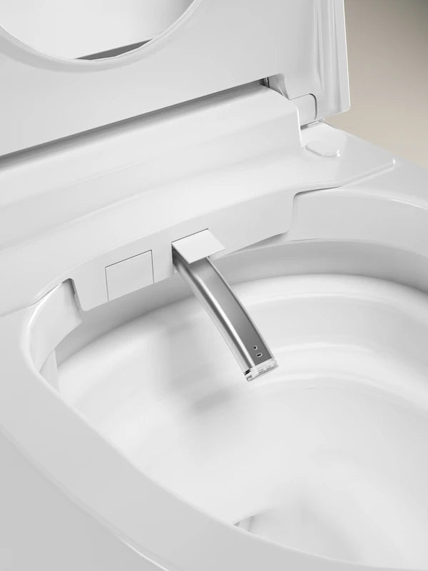 Smart Bathroom Floor Mounted Toilet