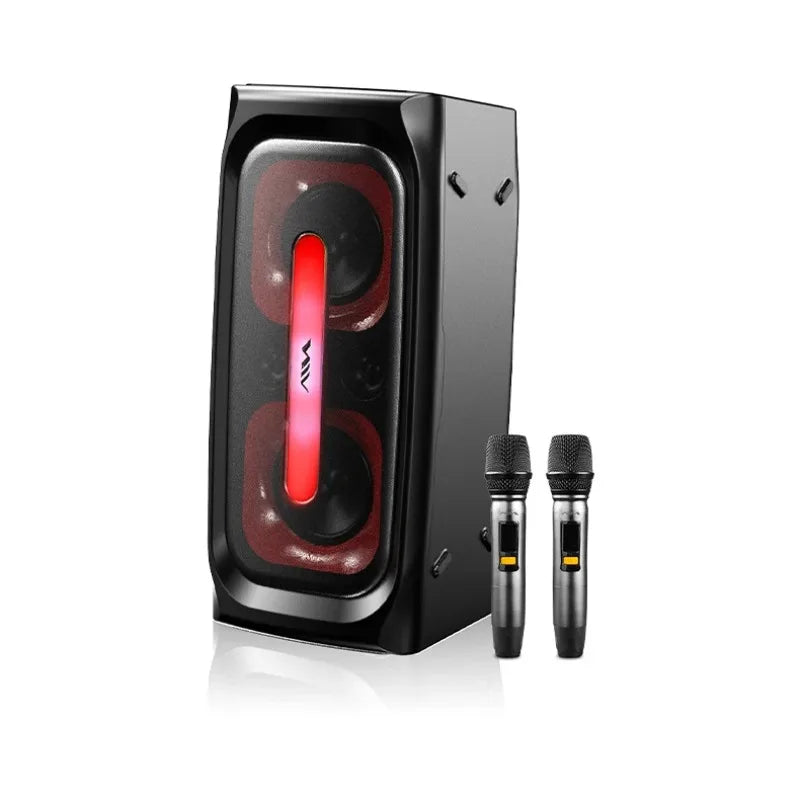 Aihua SS-X300DSP PRO High Quality Sports & Entertainment Speaker Japan Designed