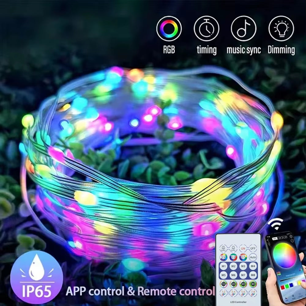 WS2812B RGB LED String 20M 10M 5M DIY Smart IC APP Bluetooth Remote Fairy Lights Dreamcolor Garden Party Christmas Wedding Decor