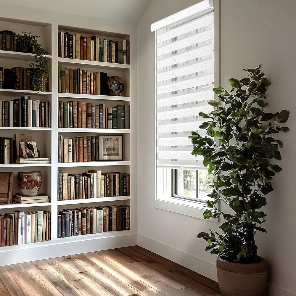 Window Roller Shades for Home