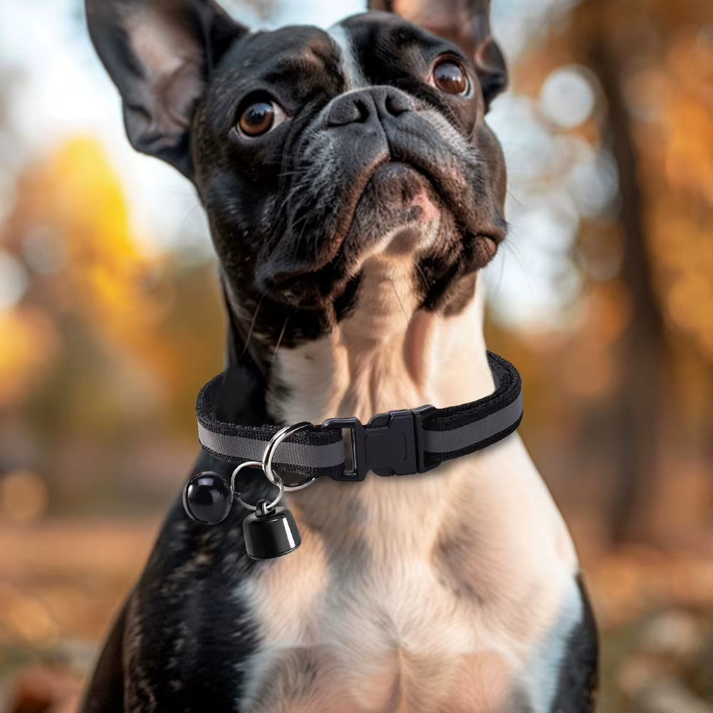 Pet Tracker with Adjustable Collar Cat Locator Smart Pet Locator Compatible with Find Tag App for Ios/Android for Dogs Cats