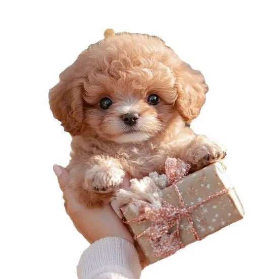 Cute Plush electric toy dog children's smart pet dog Simulated cry, emotional doll Growing Together children's birthday gifts
