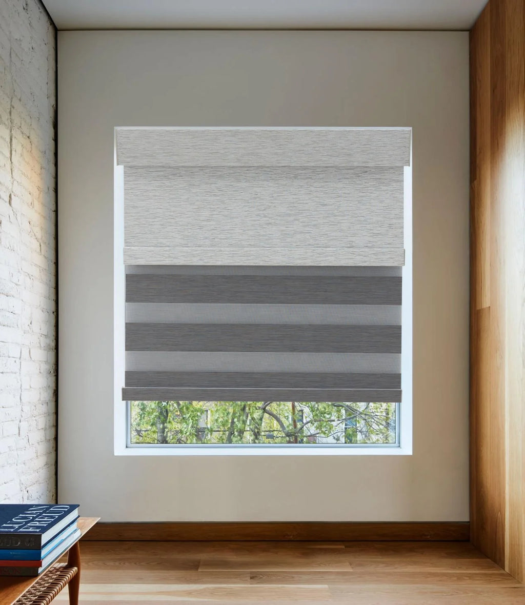 Mechanical Motor Dual Layer zebra Shade Two Tubes up Rail Roller Window Blinds Double Roller Blinds