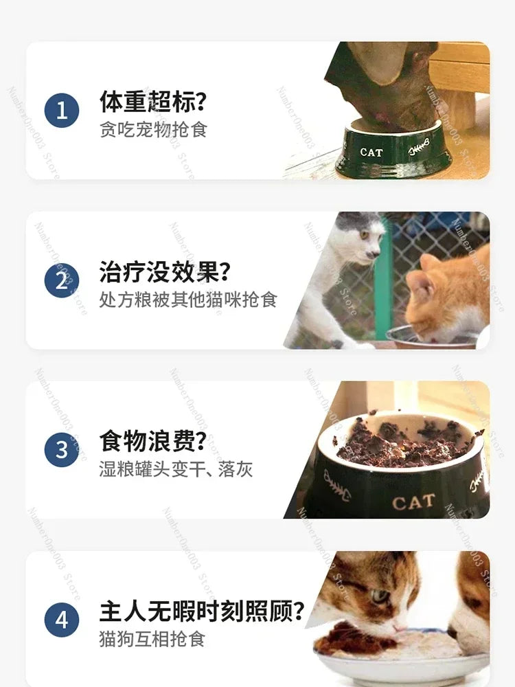 Smart chip recognition induction multi-cat automatic feeder wet food preservation pet cat bowl insect control