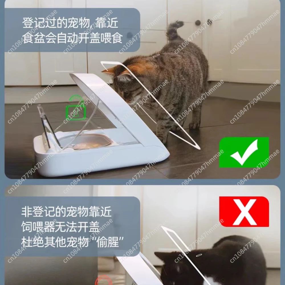 Smart chip recognition induction multi automatic feeder wet food preservation pet  bowl insect control
