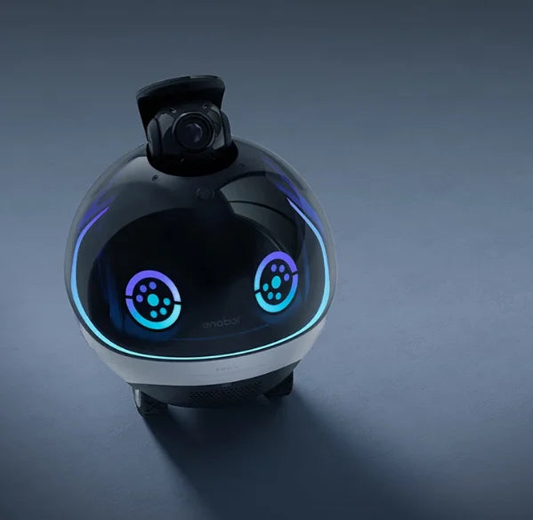 1080P  Remote Monitoring Two-Way Audio Interactive Pet Play AI Home Robot EBO X Smart Companion Robot with HD