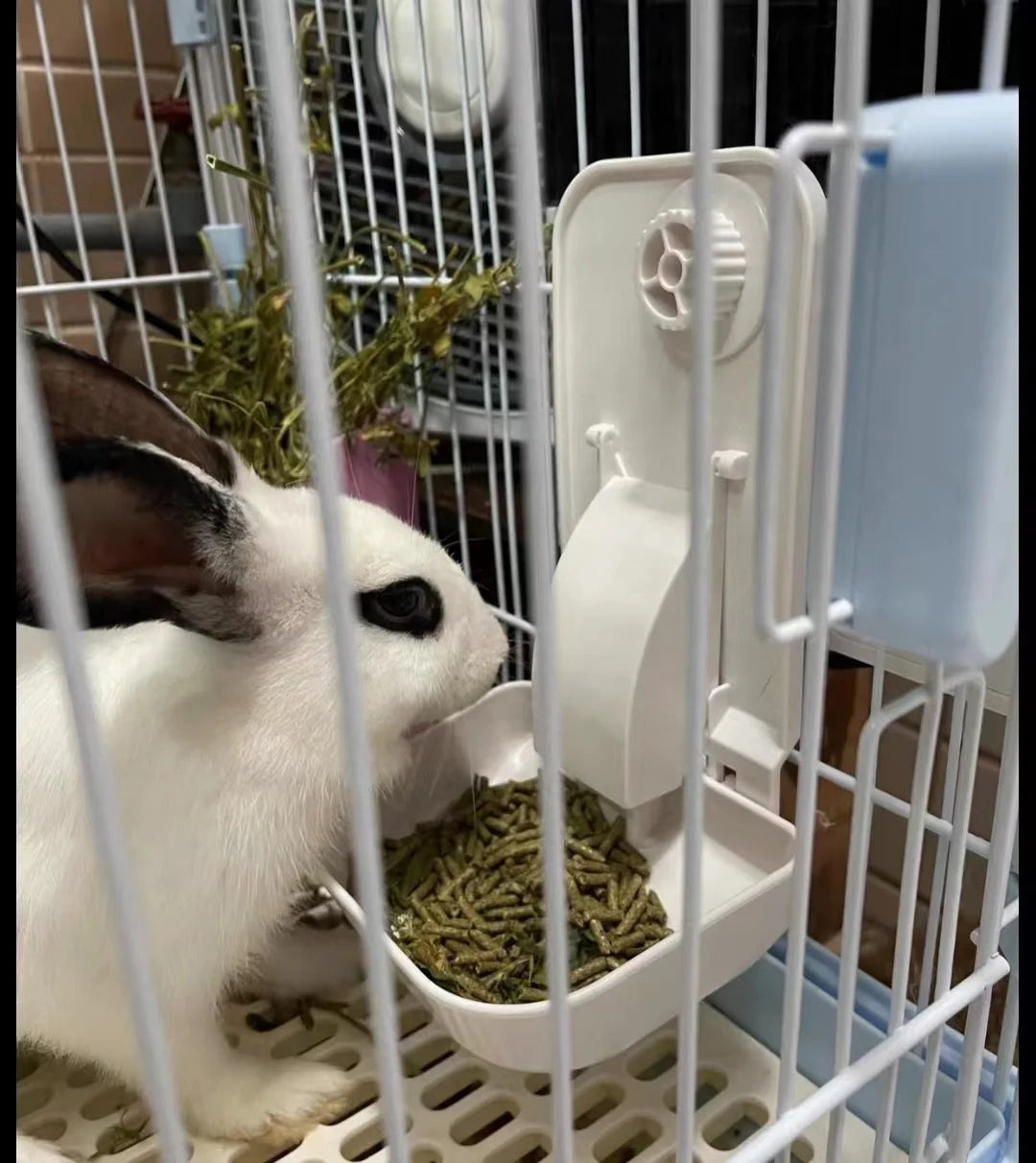 Cage Automatic Pet Timer Feeder 2.3 Liter Capacity Smart Distributor