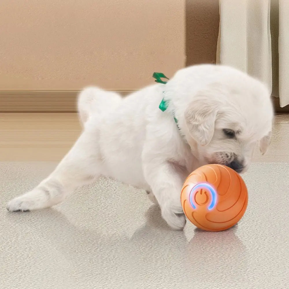 USB Rechargeable Smart Dog Toy Ball Gravity Jump Chew Resistant Interactive Pet Toy Bite Resistant Bouncing Design Moving Ball
