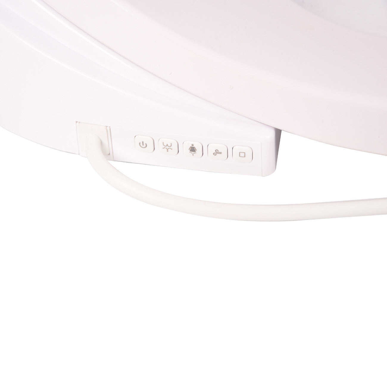 Smart Toilet Seat Bidet Electric Washlet Cover Remote Control Heated Water Clean