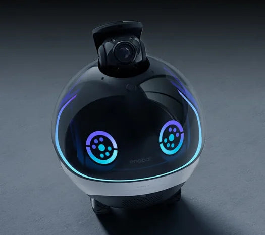 1080P  Remote Monitoring Two-Way Audio Interactive Pet Play AI Home Robot EBO X Smart Companion Robot with HD