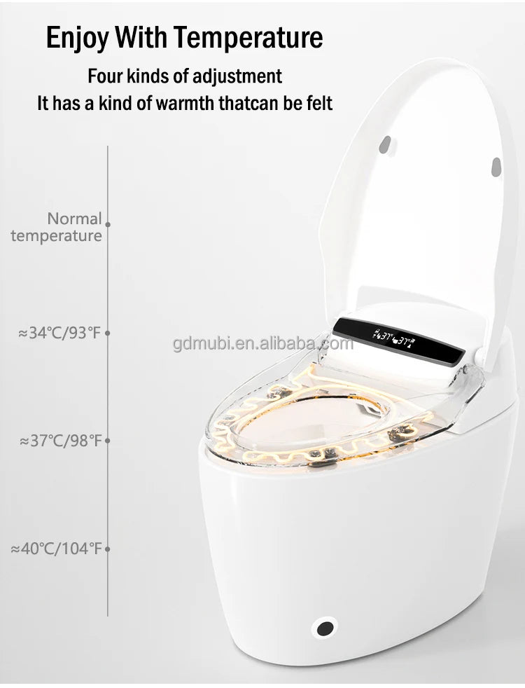 Modern Ceramic Bathroom WC Intelligent Toilet Smart One Piece Sanitary Ware Bidet Toilet