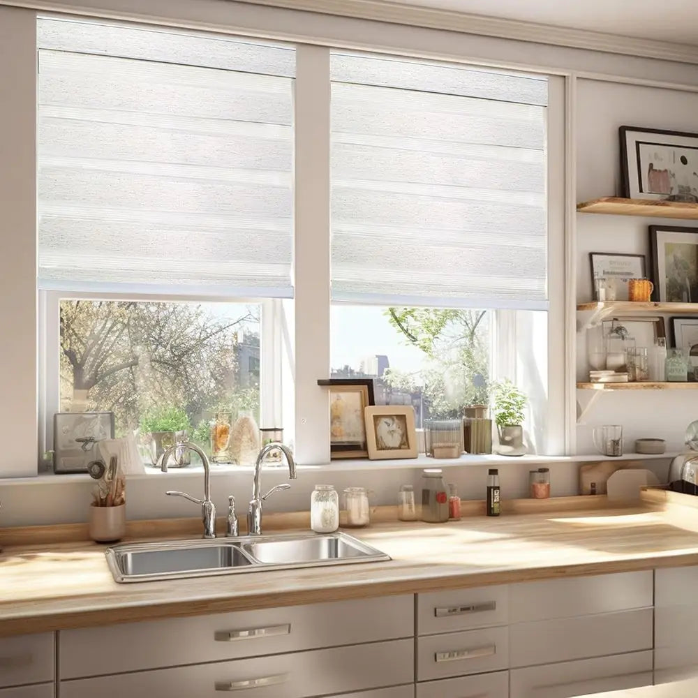 Natural 46x72 Window Roller Shades for Home, Basic Zebra Blinds