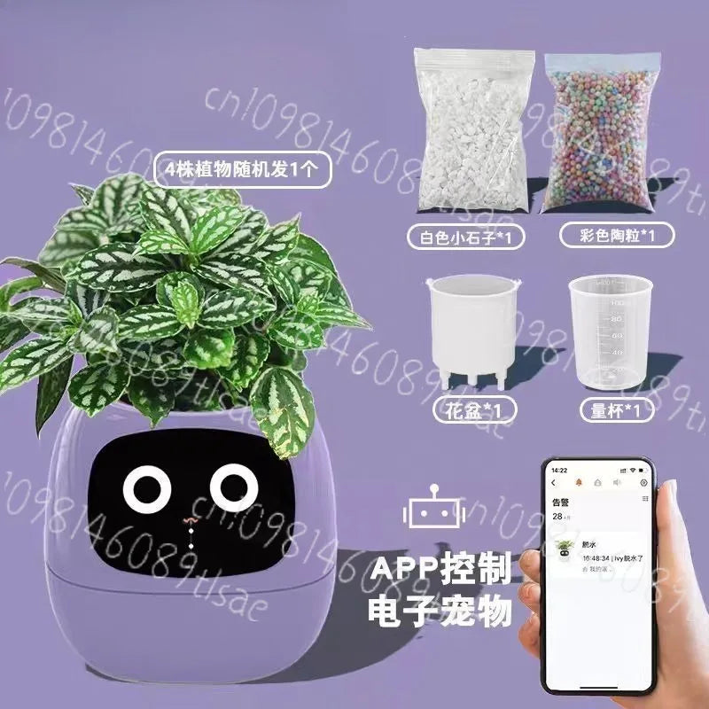 Smart Cute Pet-style Small Flower Pot with Green Plants, Emotionally Interactive Via Plant States