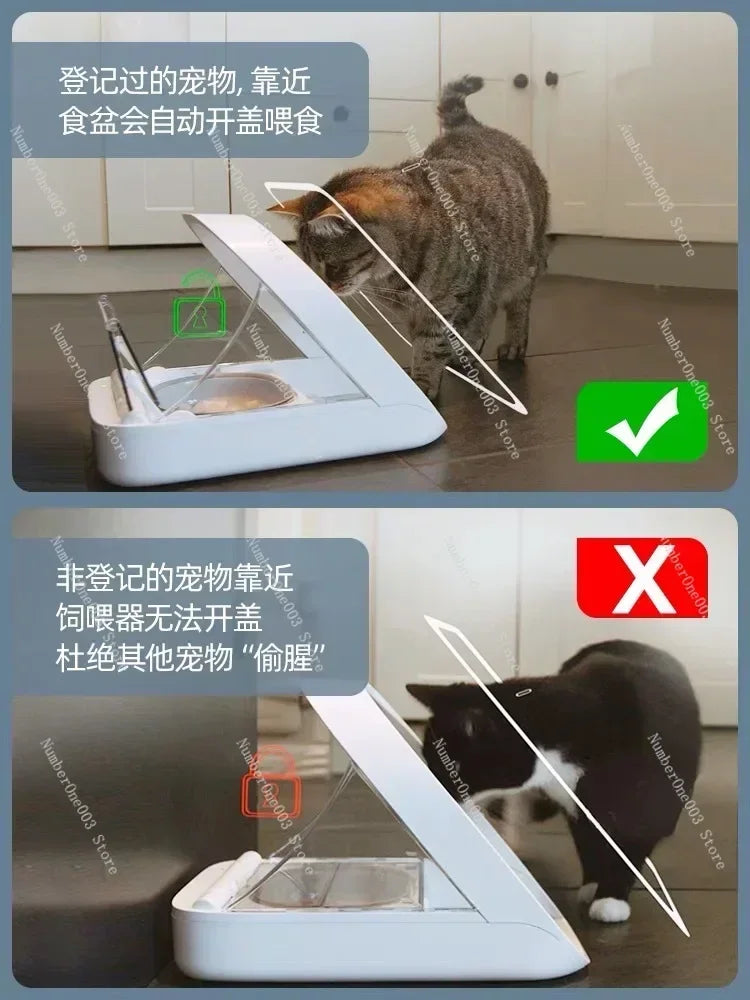 Smart chip recognition induction multi-cat automatic feeder wet food preservation pet cat bowl insect control