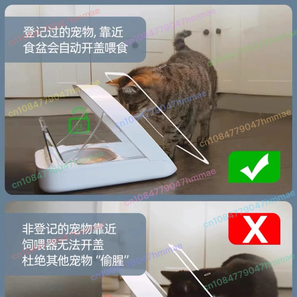 ‌Smart Motion Sensor Auto Pet Feeder with Anti-Pest & Timed Feeding (6L Capacity)