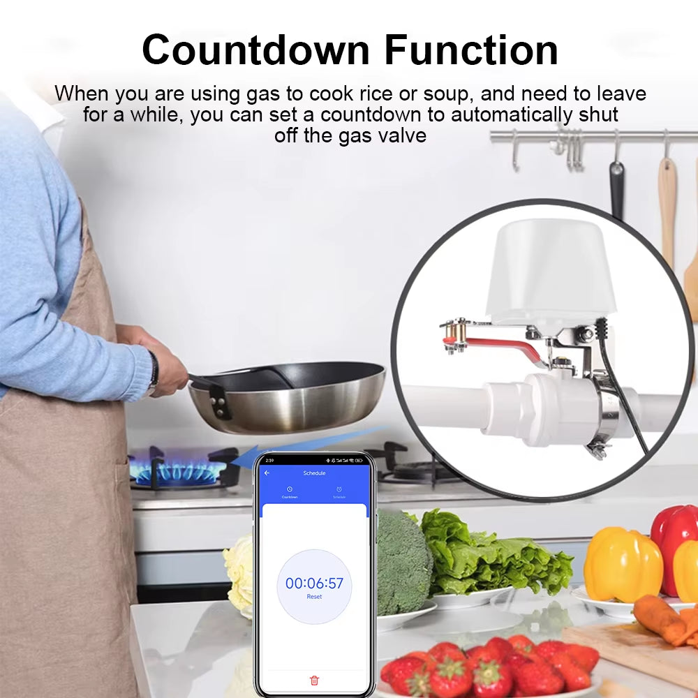 Tuya Wifi Water Valve Gas Shutoff Ball Valve Timer Garden Smart Faucet Controller Support Alexa Google Assistant Smartlife