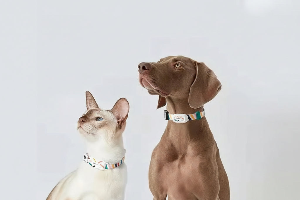 Smart Pet Tracker Pet Kit Bluetooth Collar Pet Dog Collar Cat Tracker Adjustable Control Sports Activity Sleep Waterproof Collar