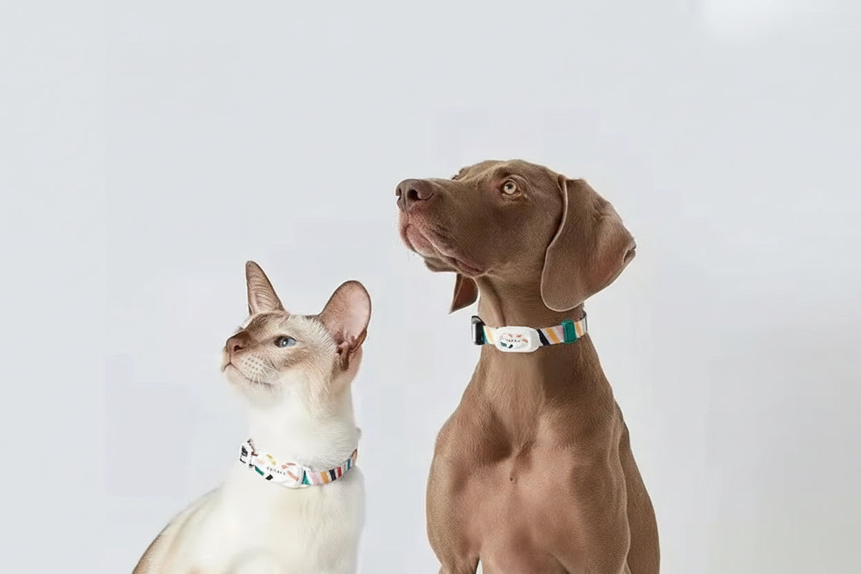 Smart Pet Tracker Pet Kit Bluetooth Collar Pet Dog Collar Cat Tracker Adjustable Control Sports Activity Sleep Waterproof Collar